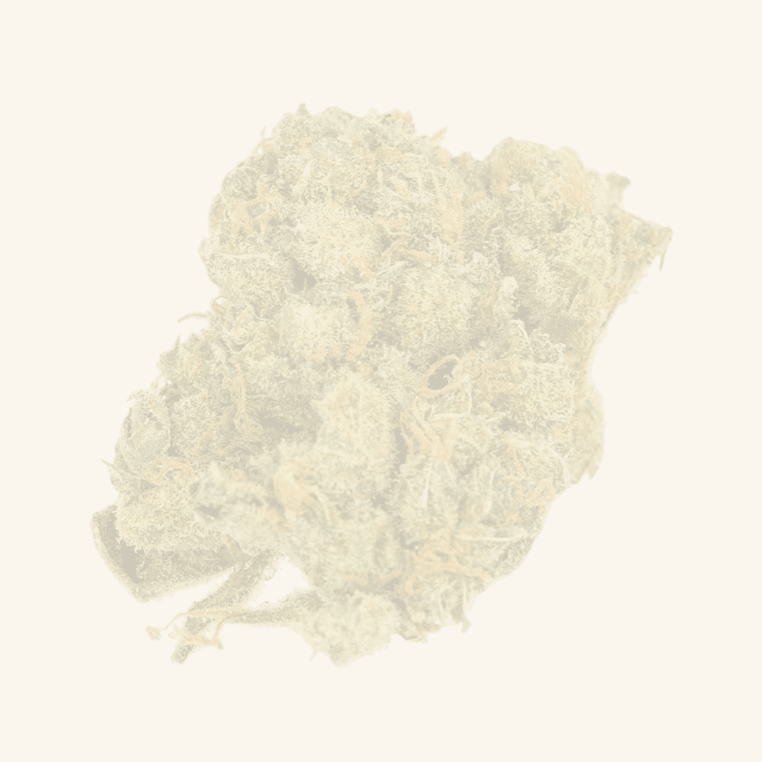 Skywalker Kush Canadelaar