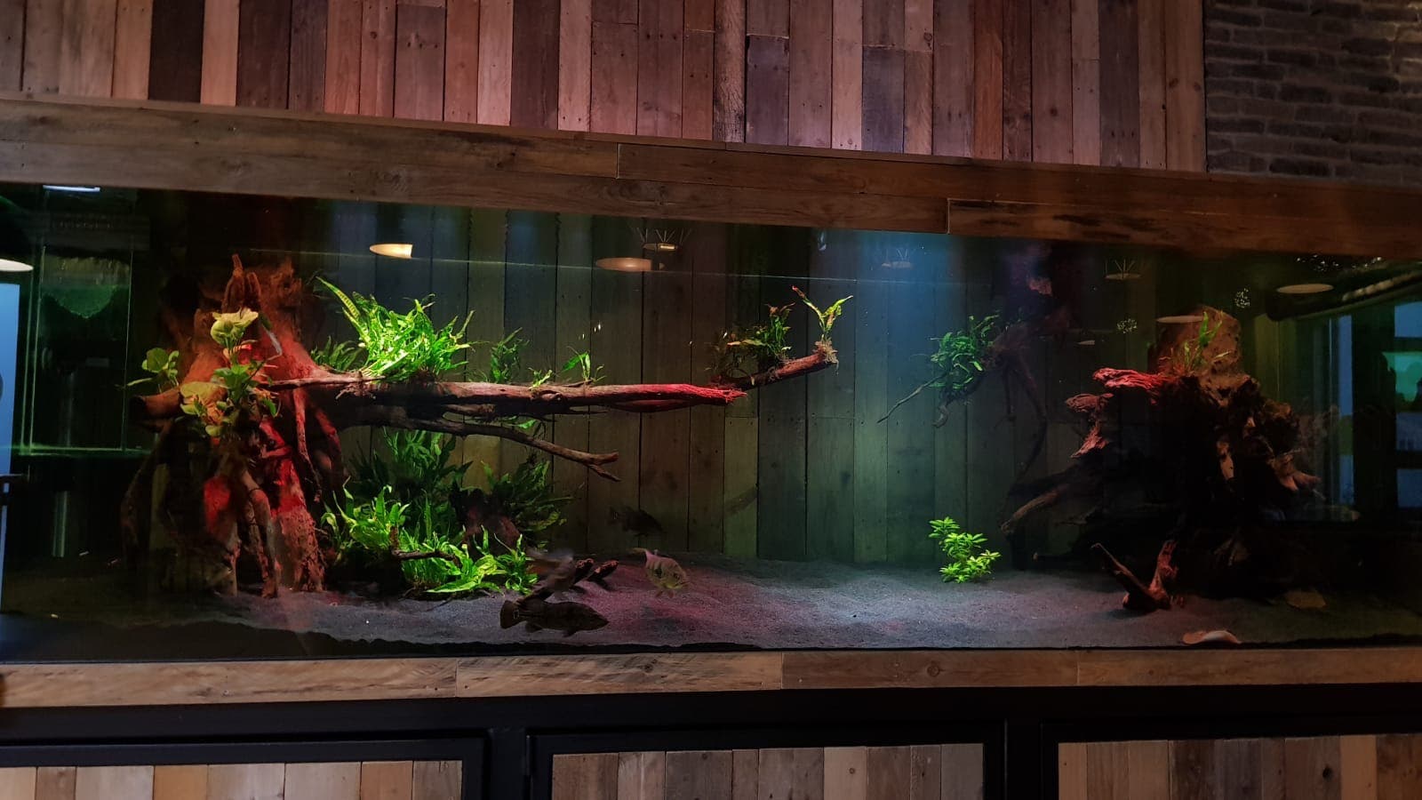 Amersfoortseplein - Foto 4