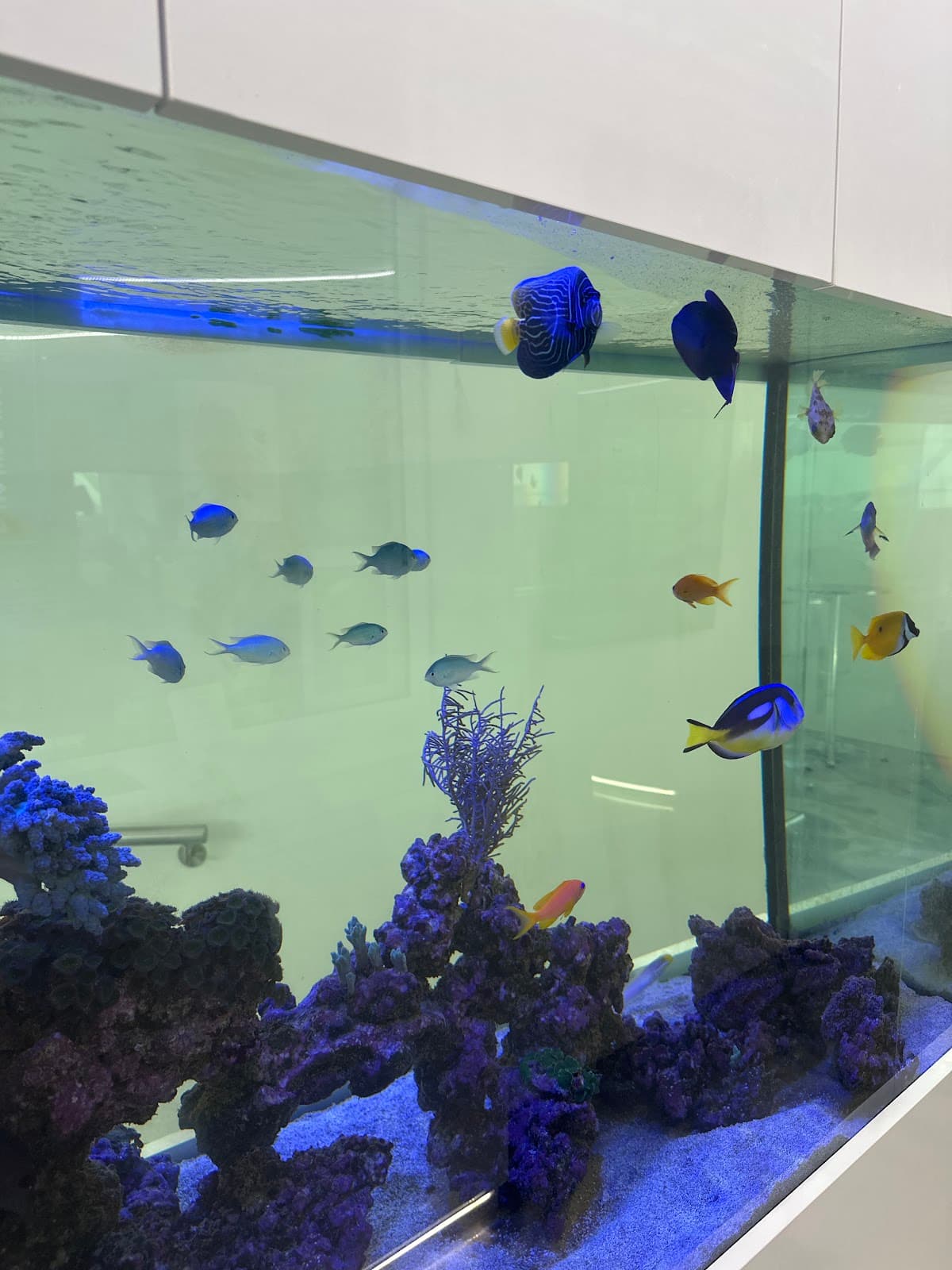 Boere Schuurtje - Foto 3