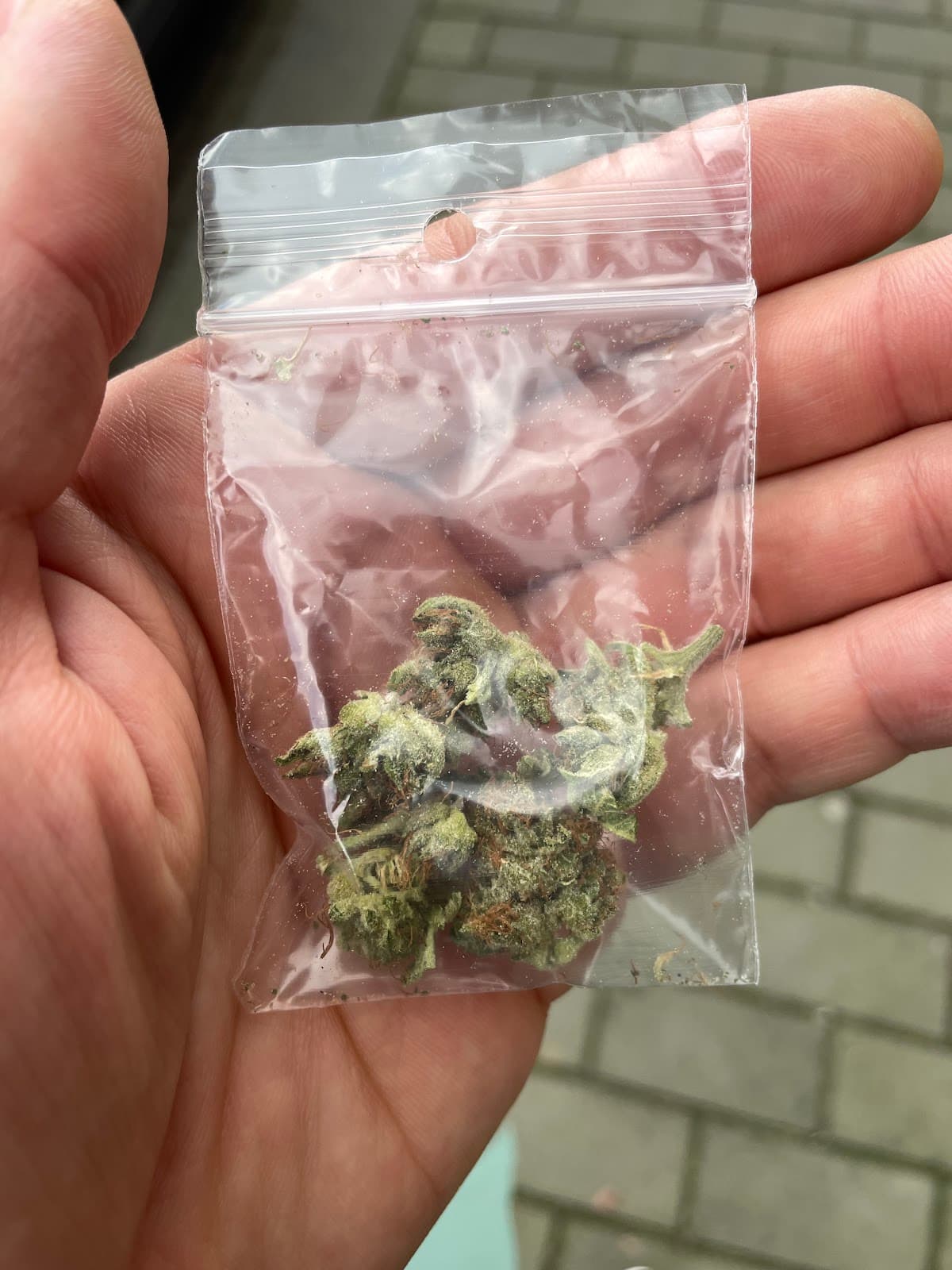 Bonne Ville - Foto 3