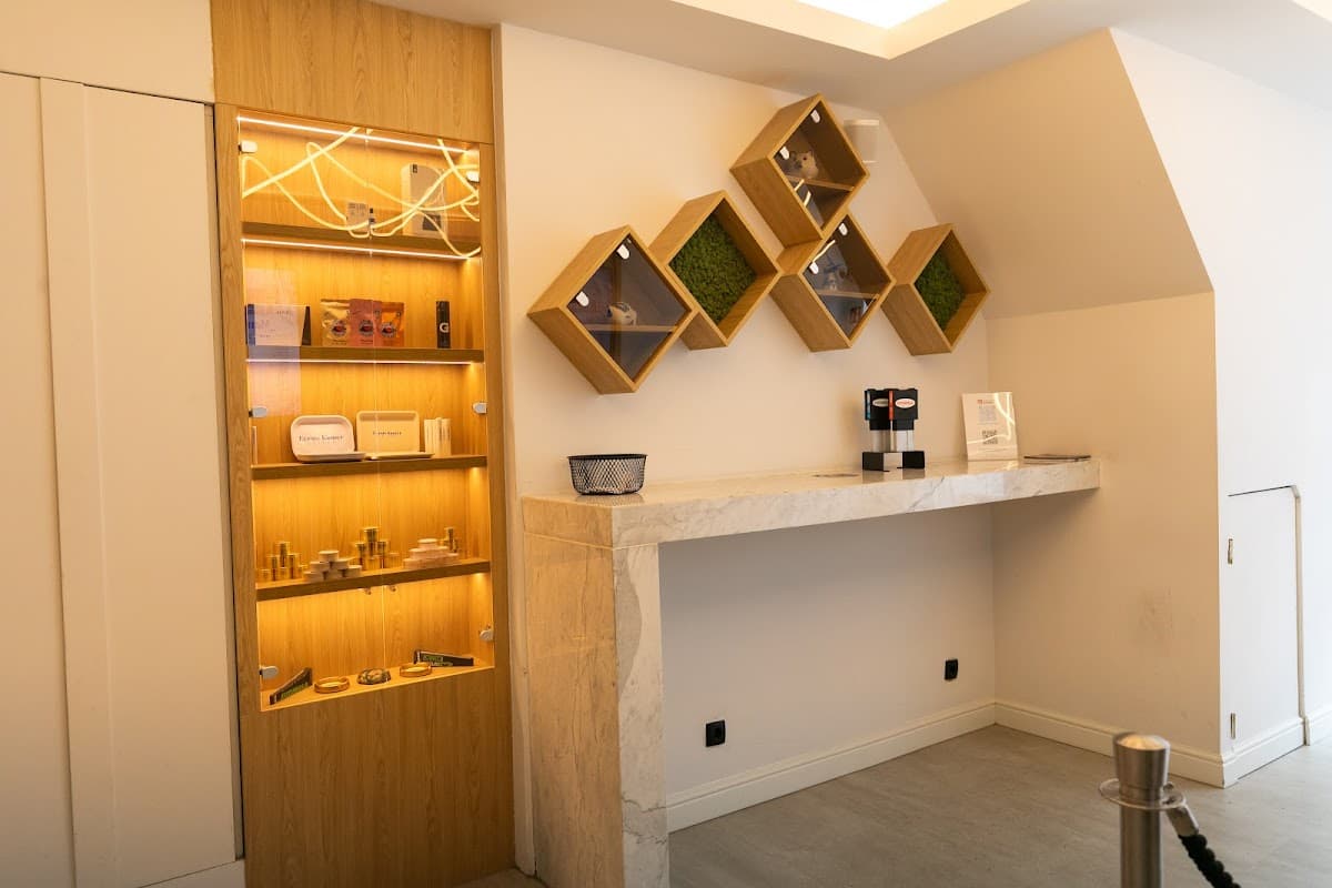 De Eerste Kamer - Foto 4