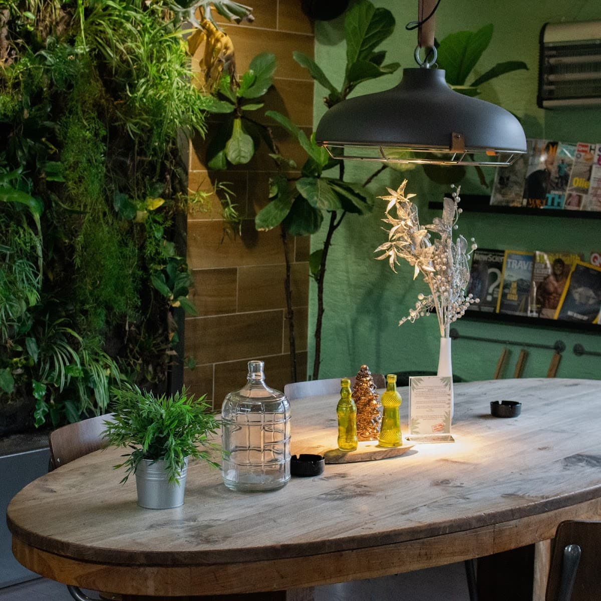 De Groene Gaper - Foto 2