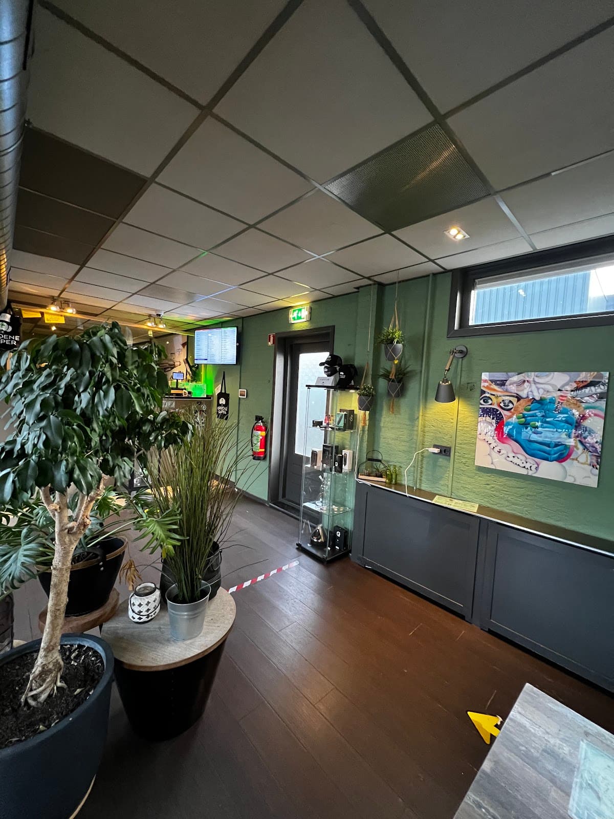 De Groene Gaper - Foto 3