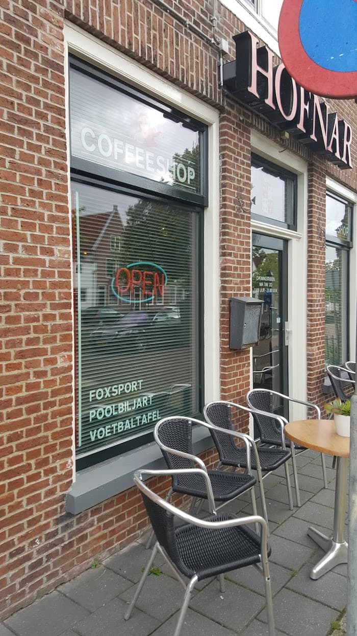 de Hofnar - Hoofdfoto