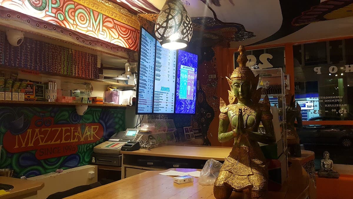 De Mazzelaar - Foto 2