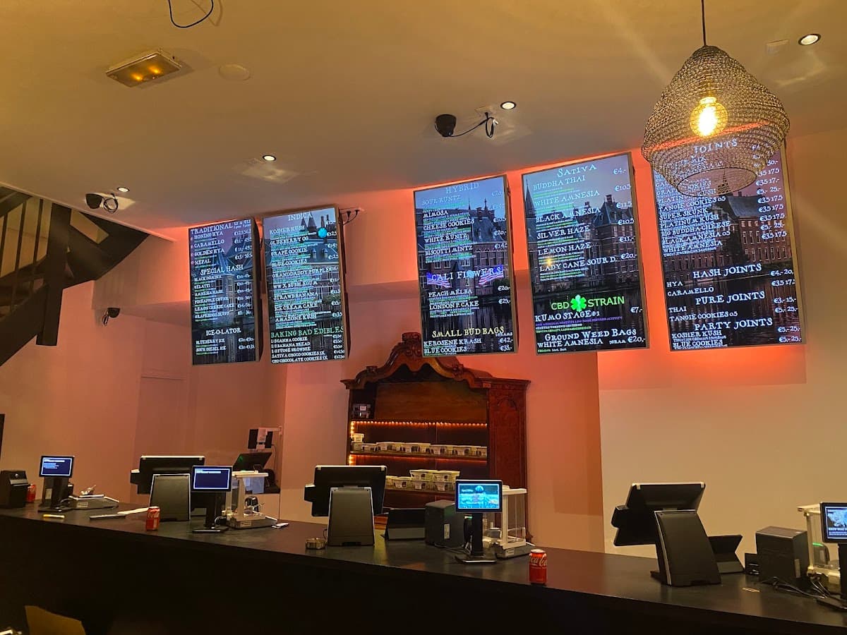 Dizzy Duck Downtown - Foto 4