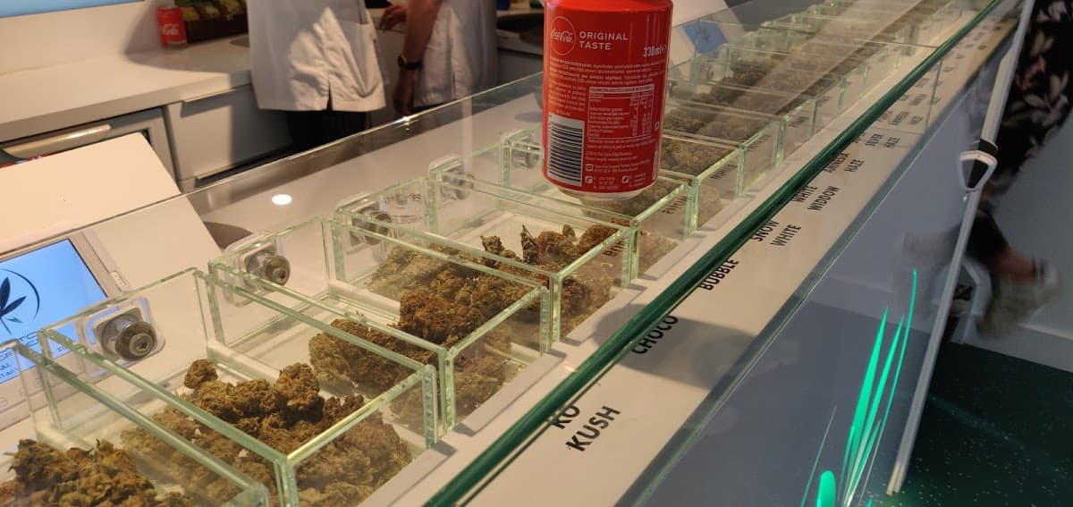 Doctor Green - Foto 2