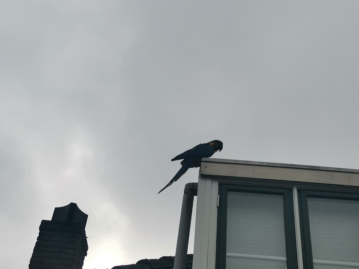 Drechtsteden - Foto 3