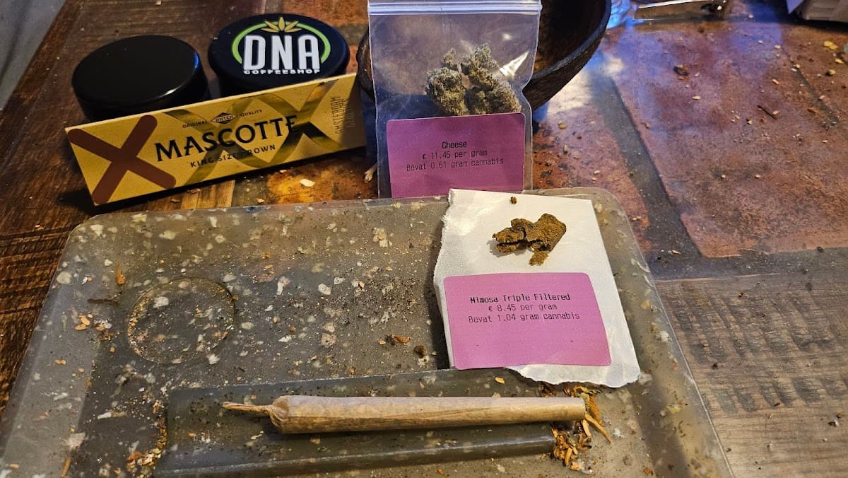 Dutch Flowers - Foto 4