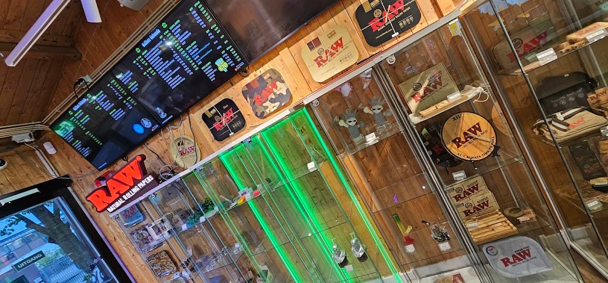 Gallery Colorado - Foto 2