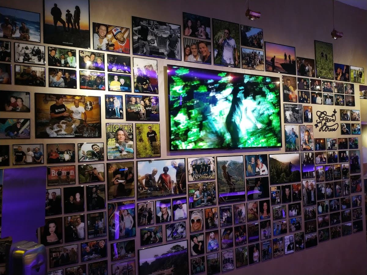 Green House United - Foto 2