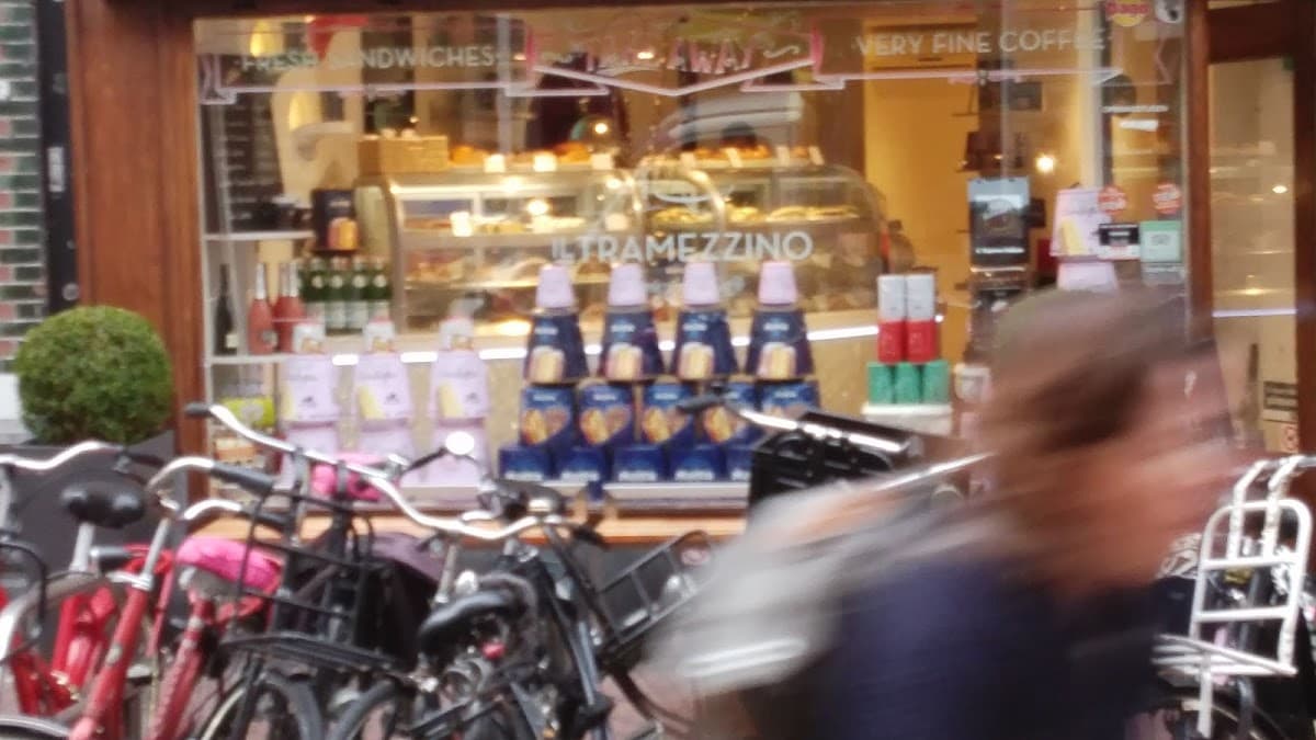 Green House United - Foto 3