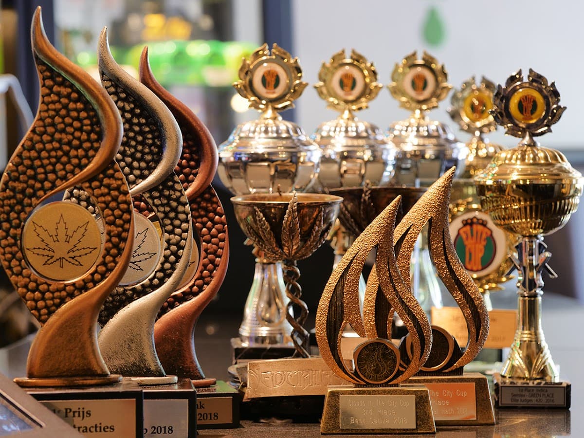 Green Place - Foto 2