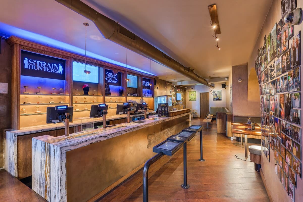 Green House Centrum - Foto 2