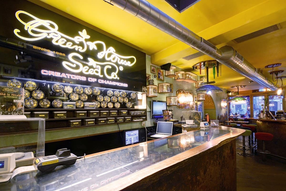 Green House Centrum - Foto 4