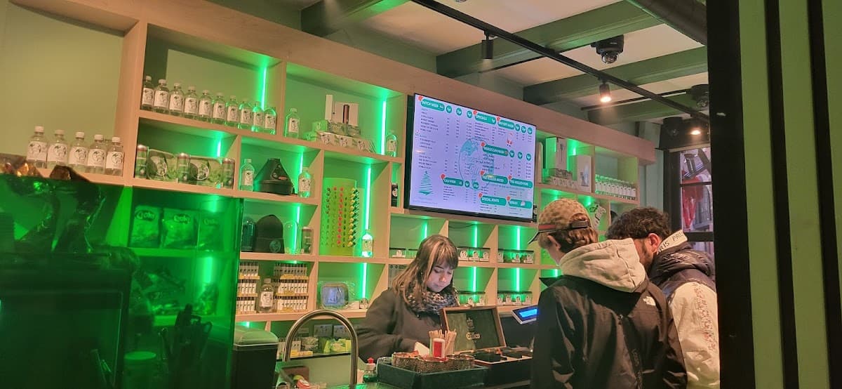 Greenhouse Effect - Foto 3