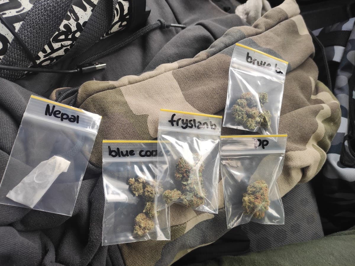 Hakuna Matata - Foto 4