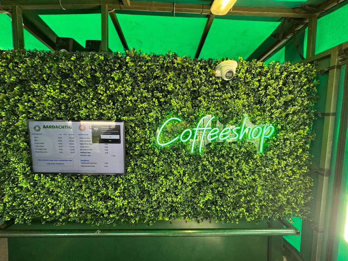 Koffie en Dromen (Blowboot) - Foto 2