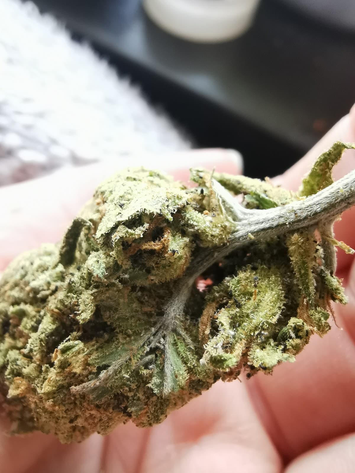 Koffiehuis Sidewalk - Foto 3