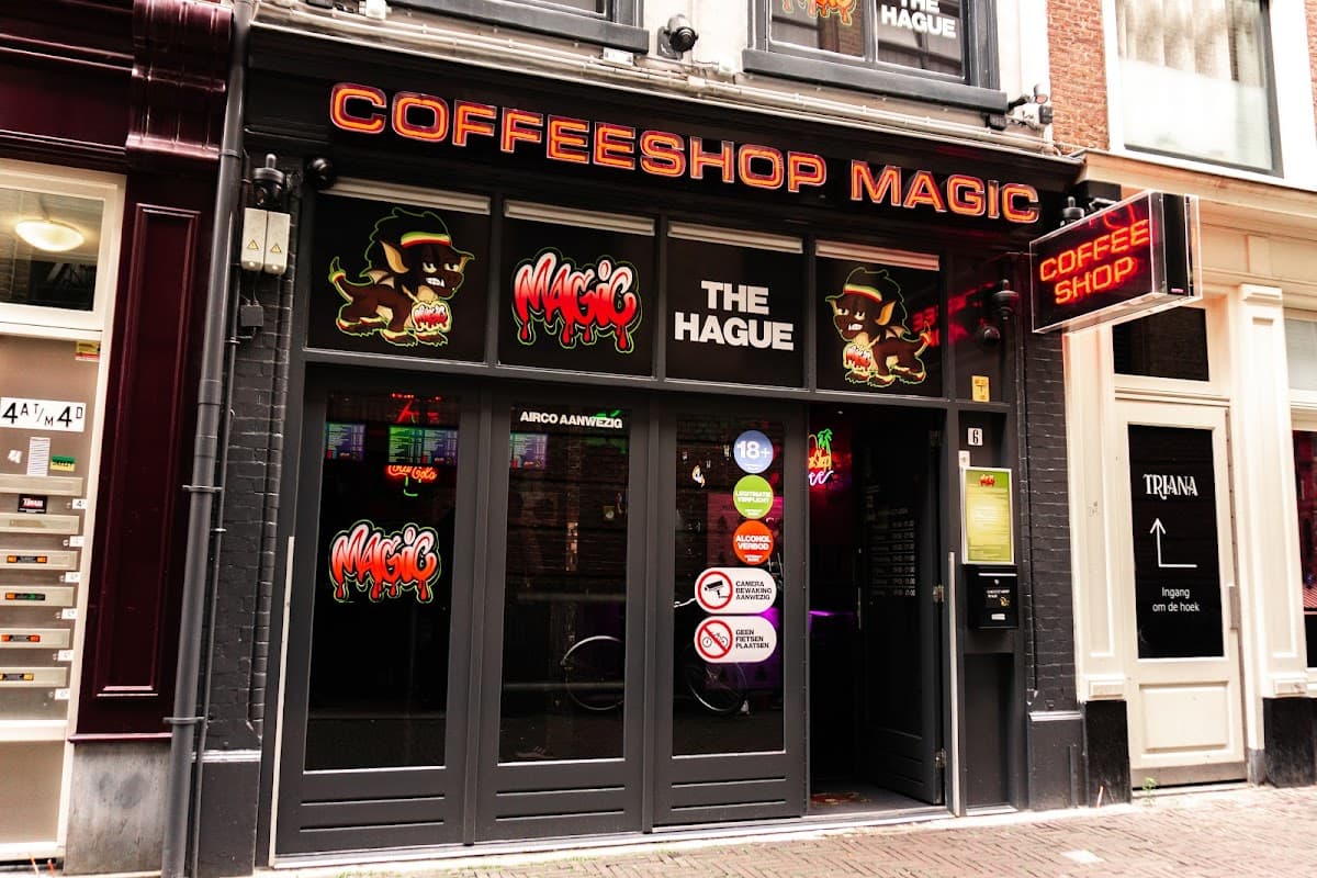 Magic - Hoofdfoto