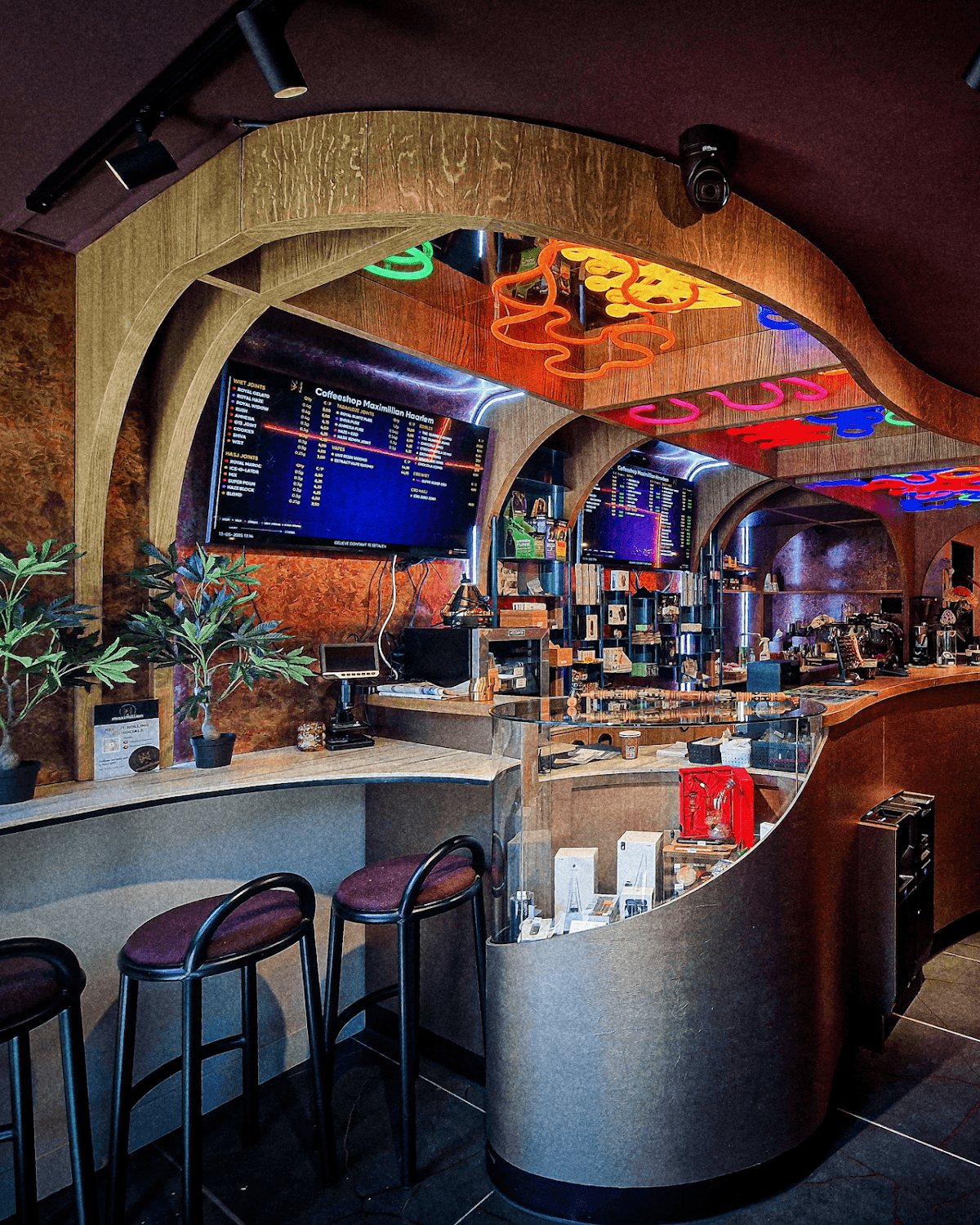 Maximillian - Foto 2