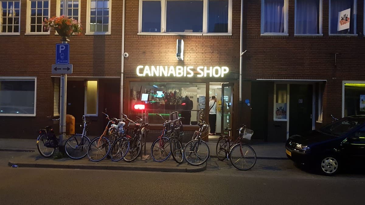 Maximillian - Foto 4