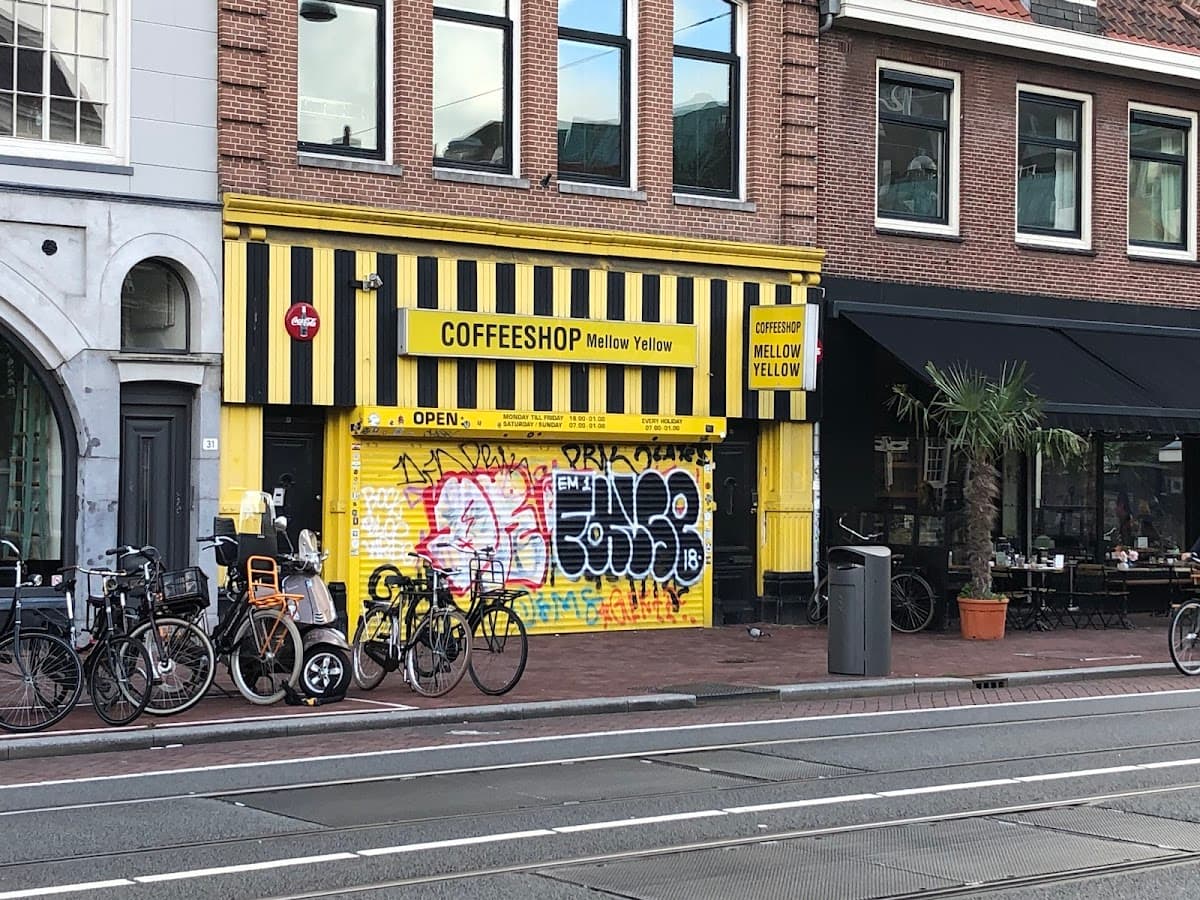 Mellow Yellow - Foto 2