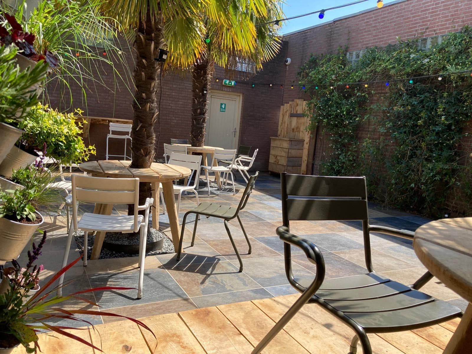 The Grass Company Piusstraat - Foto 4