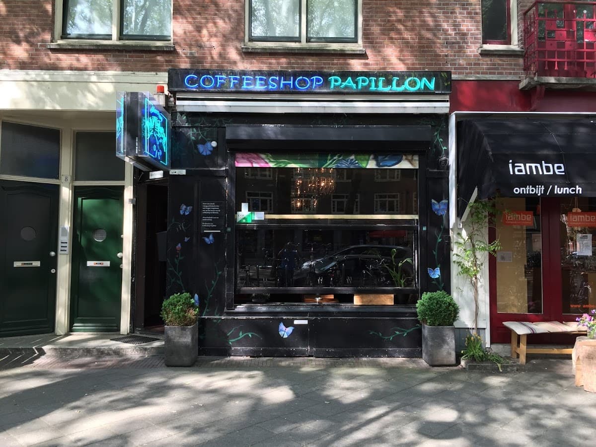 Papillon