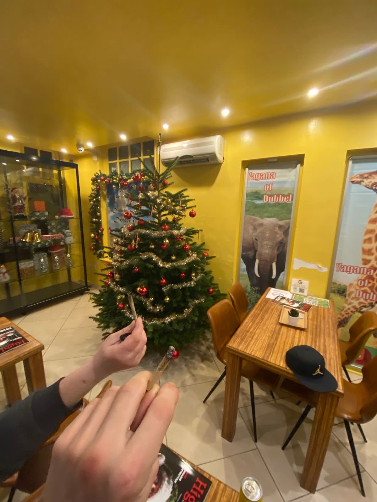 NCC Power Flower - Foto 2