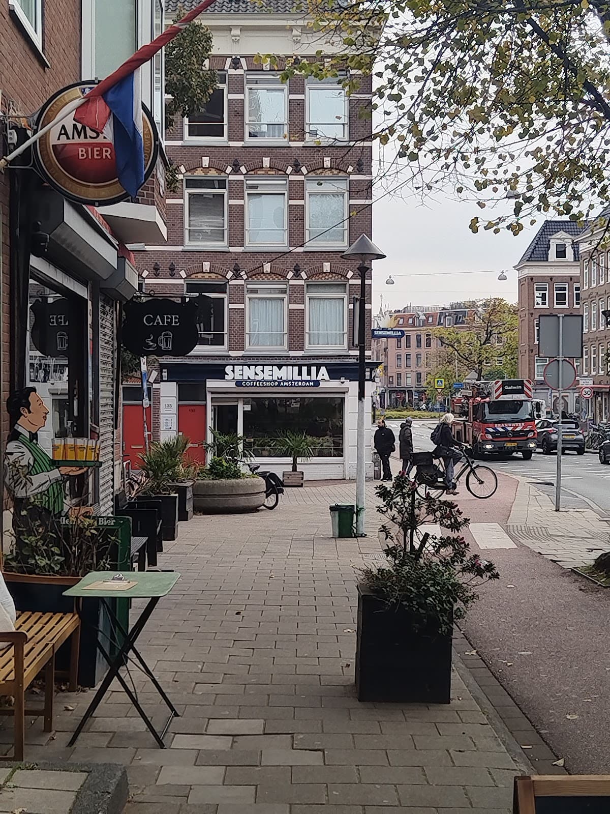 Sensemillia - Foto 2