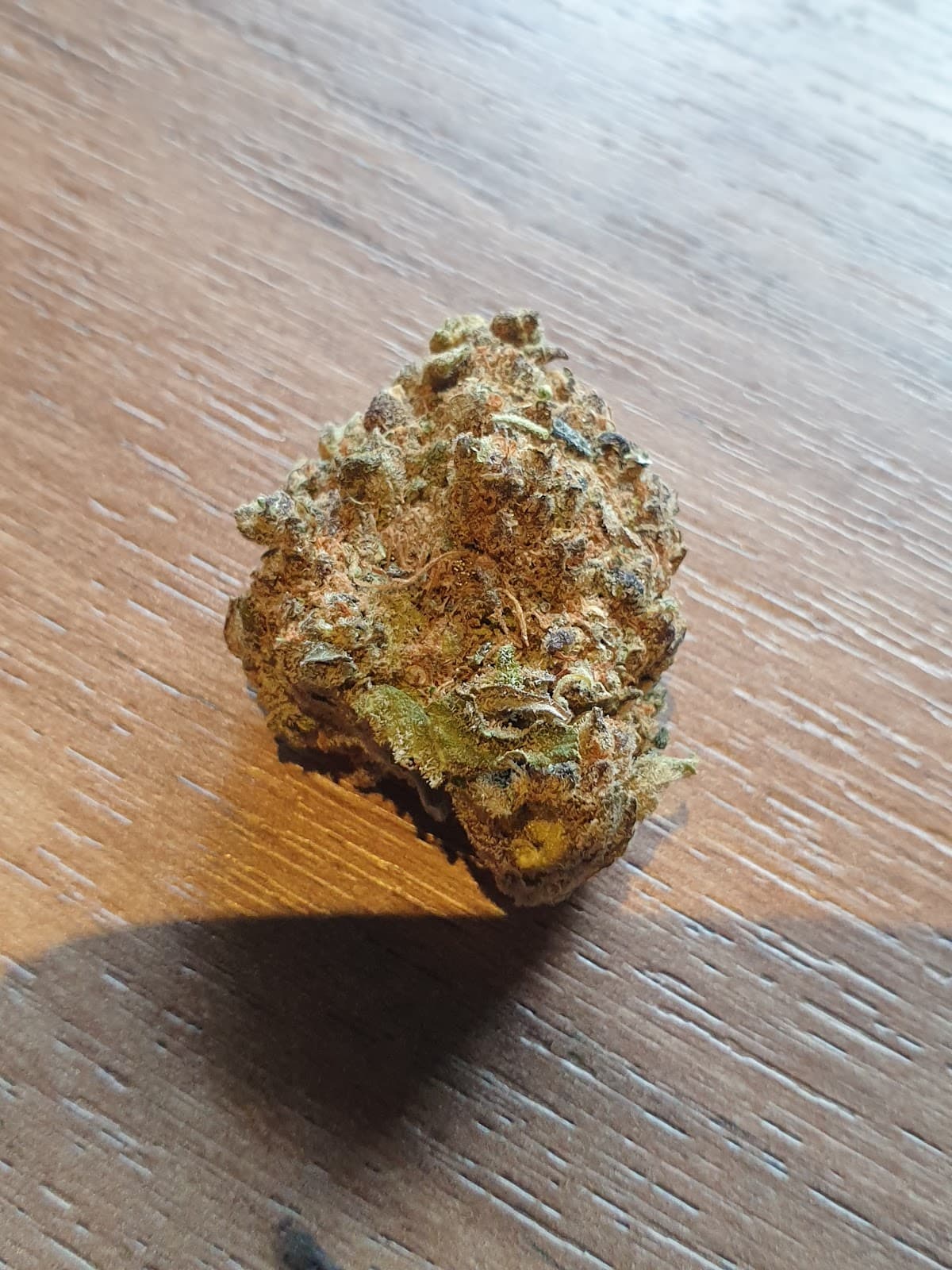 Seventh Planet - Foto 3