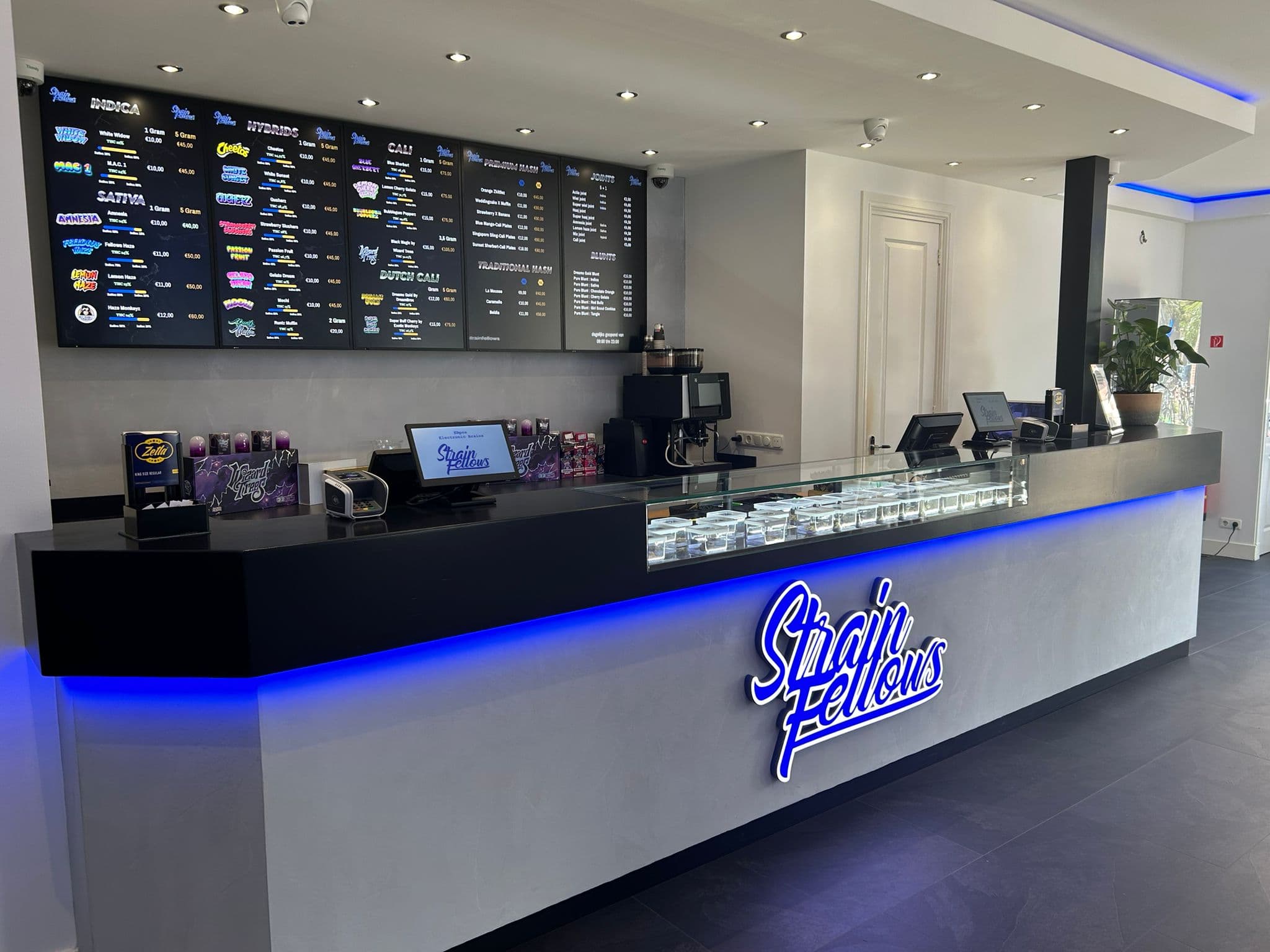 Strain Fellows - Foto 3