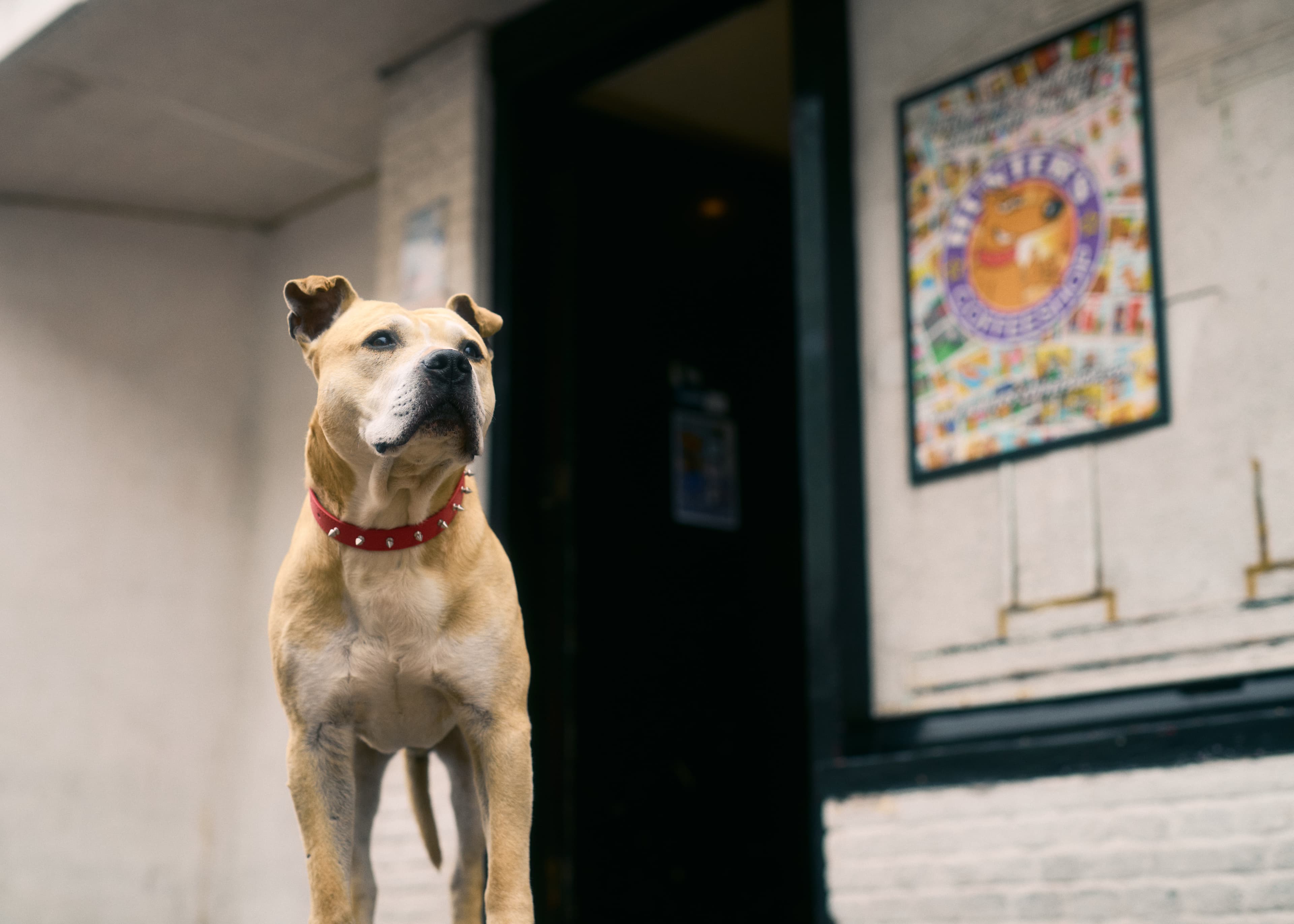 Hunter's Coffeeshop Zandvoort - Foto 3