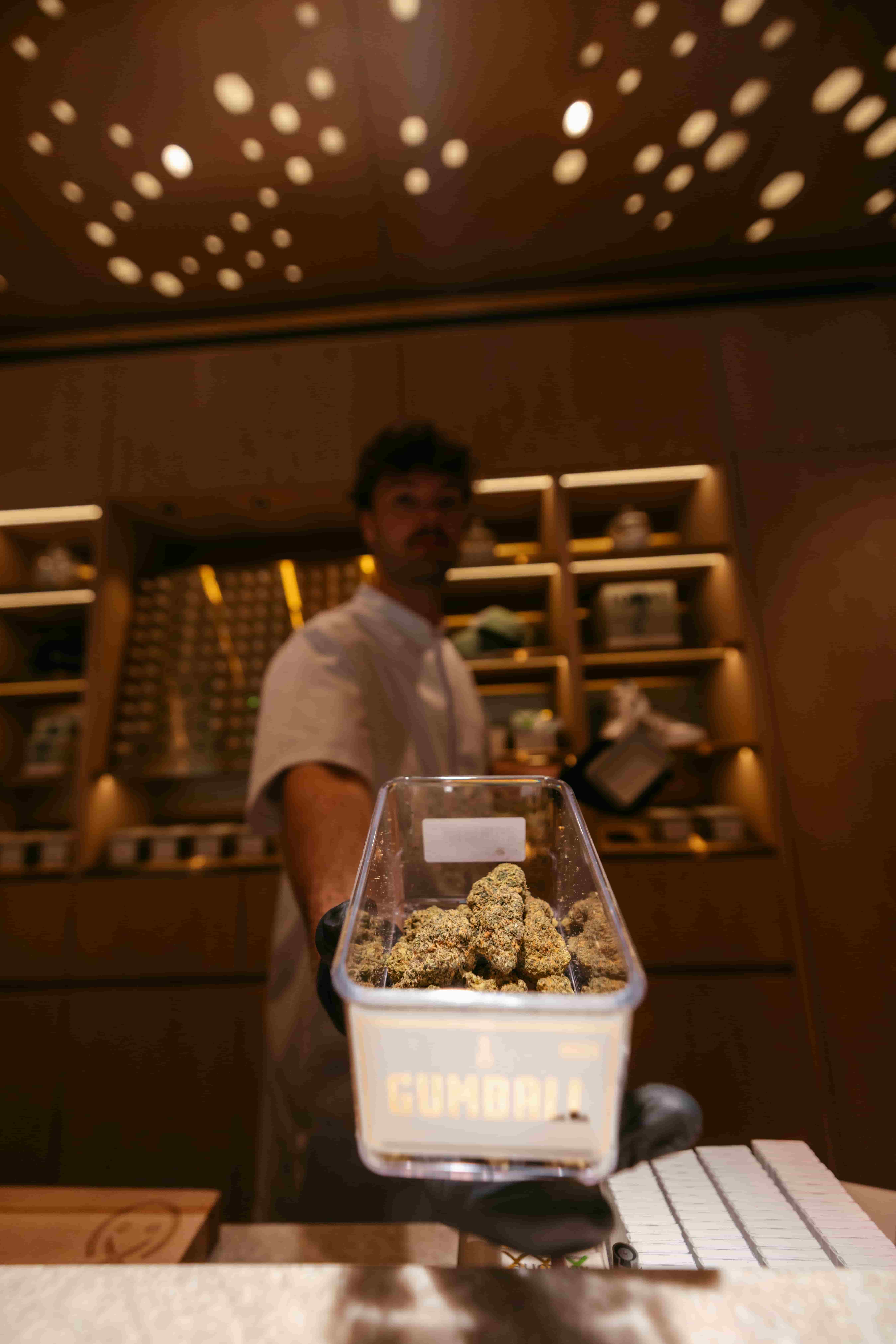 Program Coffeeshop | De Pijp Amsterdam - Foto 2