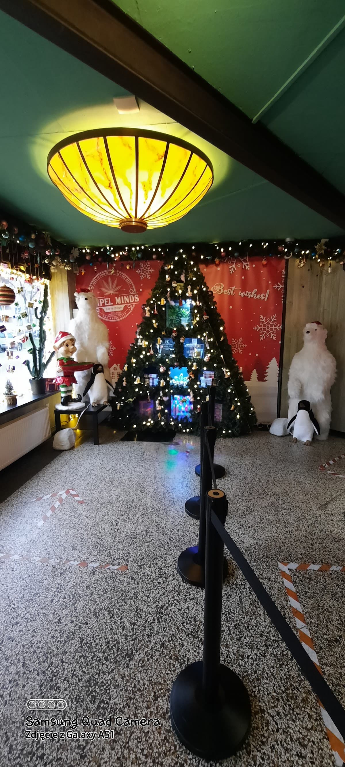 Simpel Minds - Foto 3