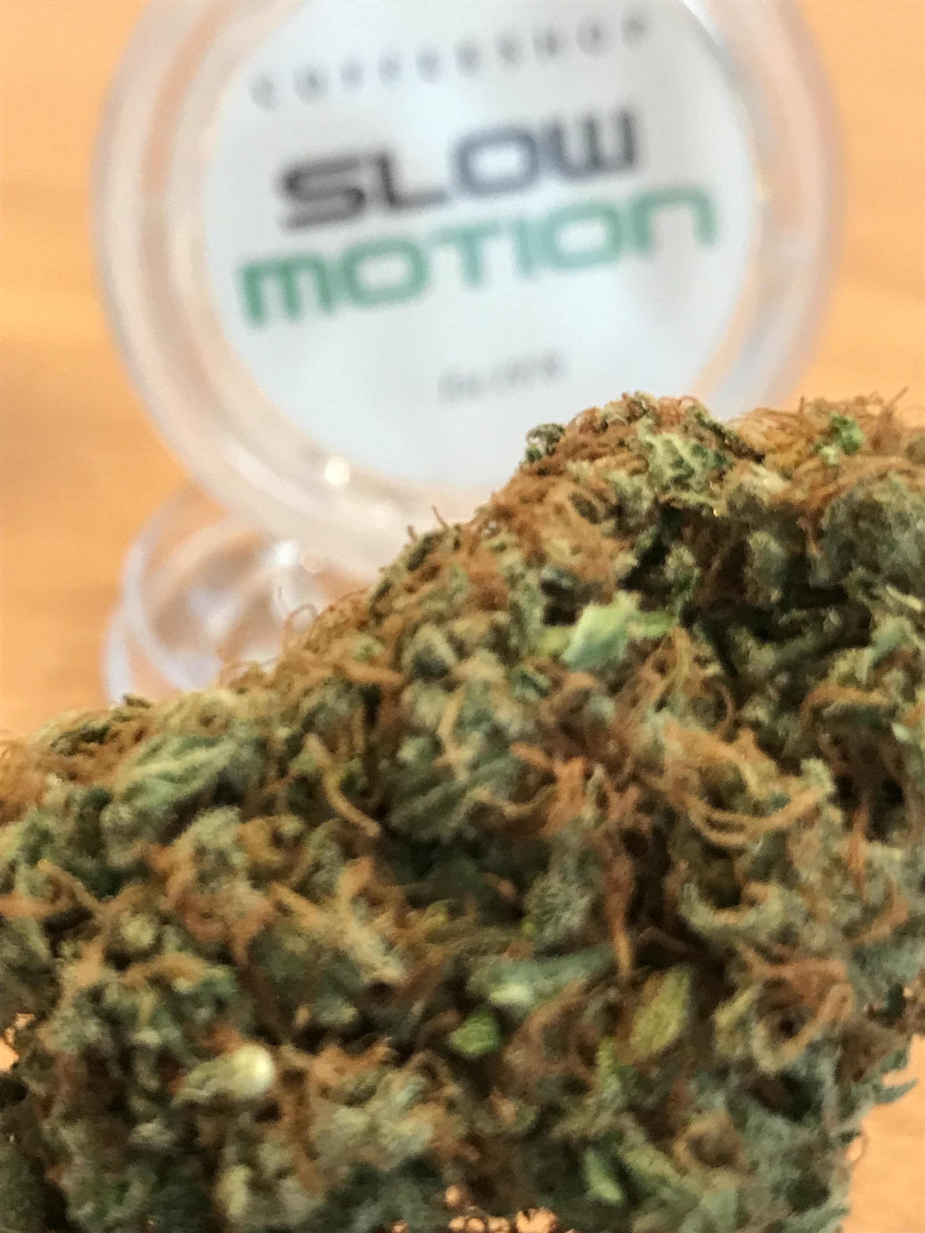 Slow Motion - Foto 3