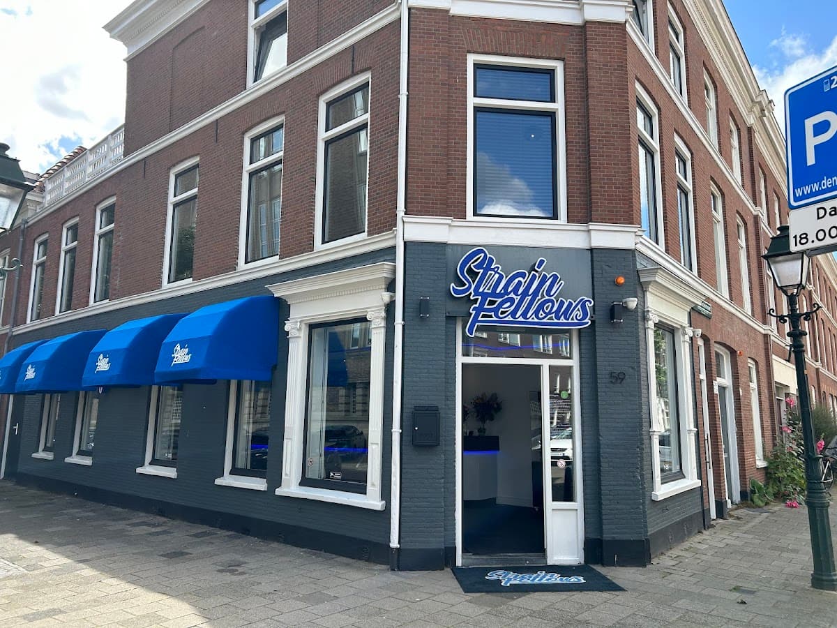 Strain Fellows - Foto 2