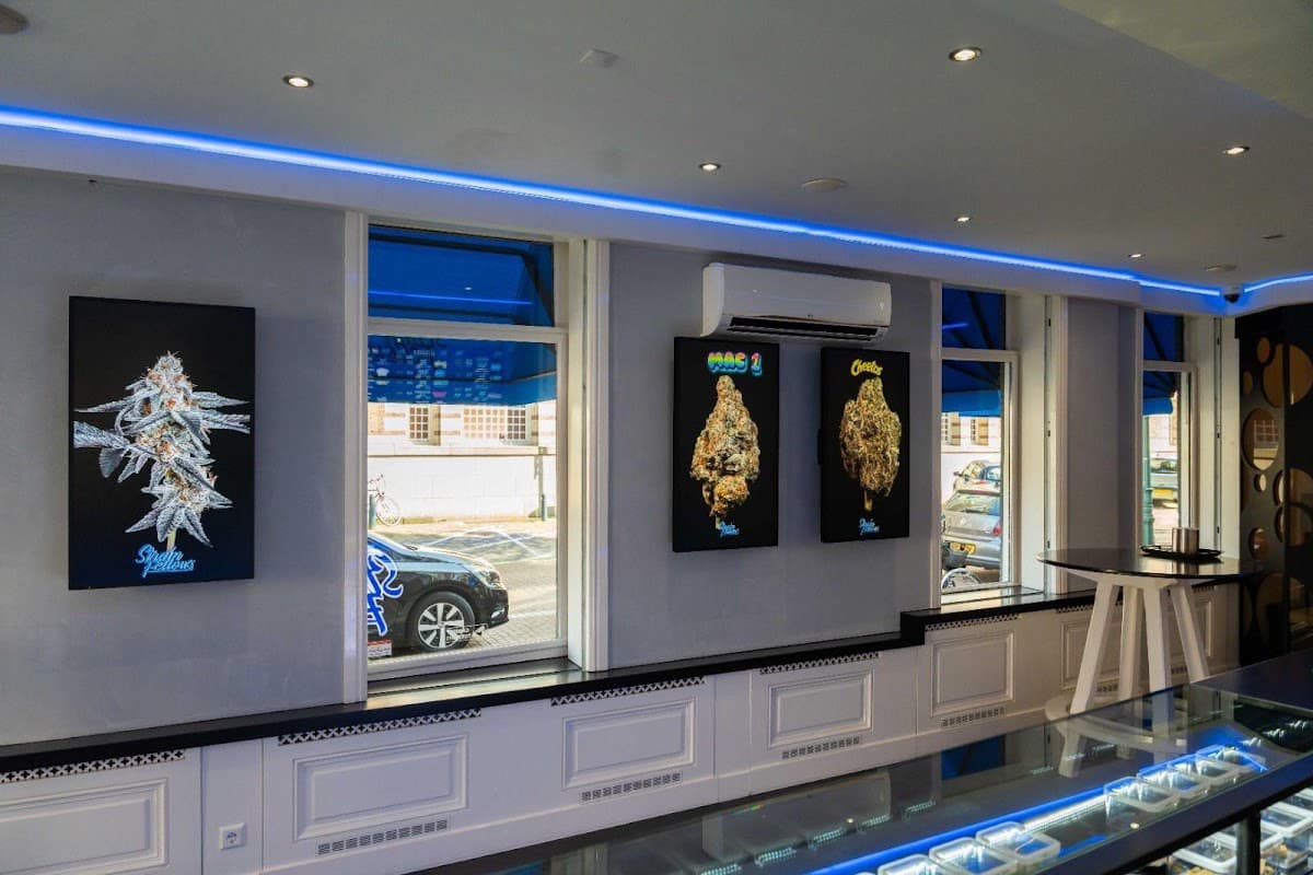 Strain Fellows - Foto 3