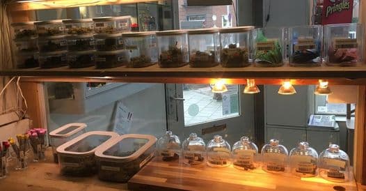 Cannabis Takeaway De Kruidenier - Foto 3