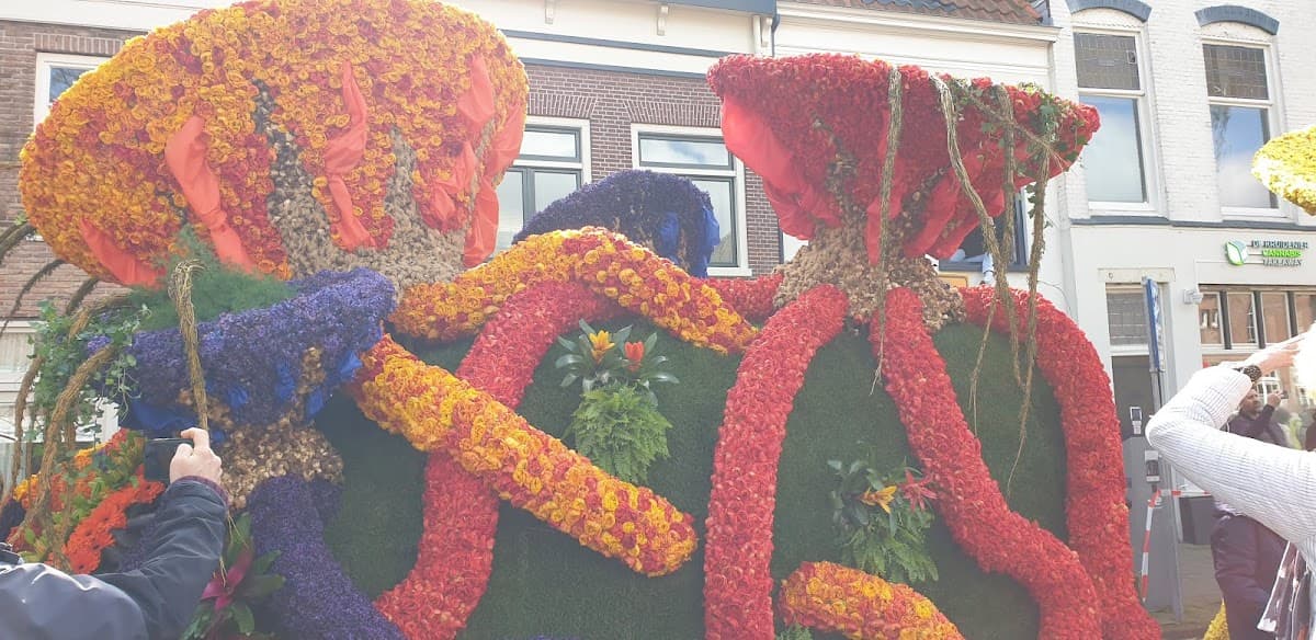 Cannabis Takeaway De Kruidenier - Foto 4