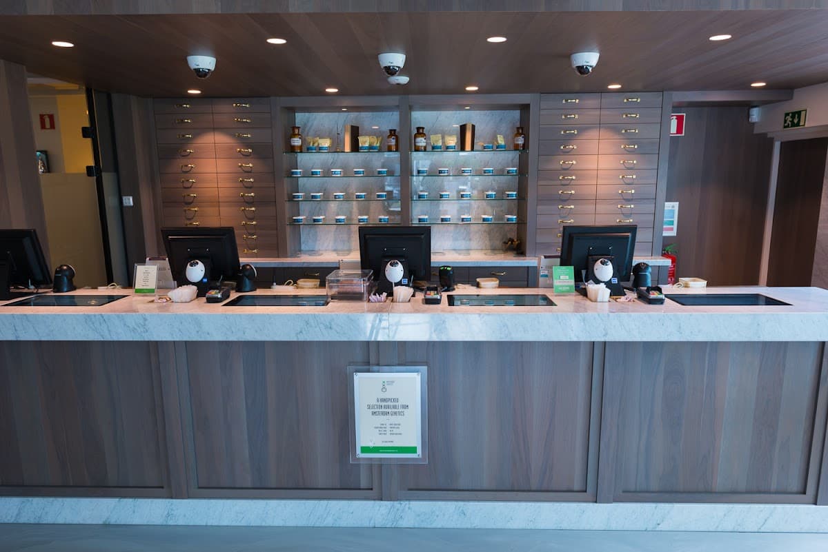 The Blue Tomato - Foto 2