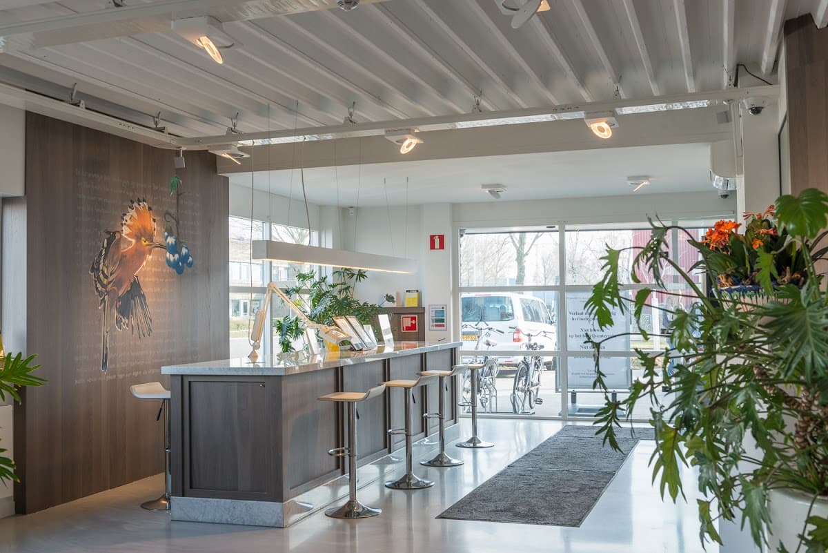 The Blue Tomato - Foto 4