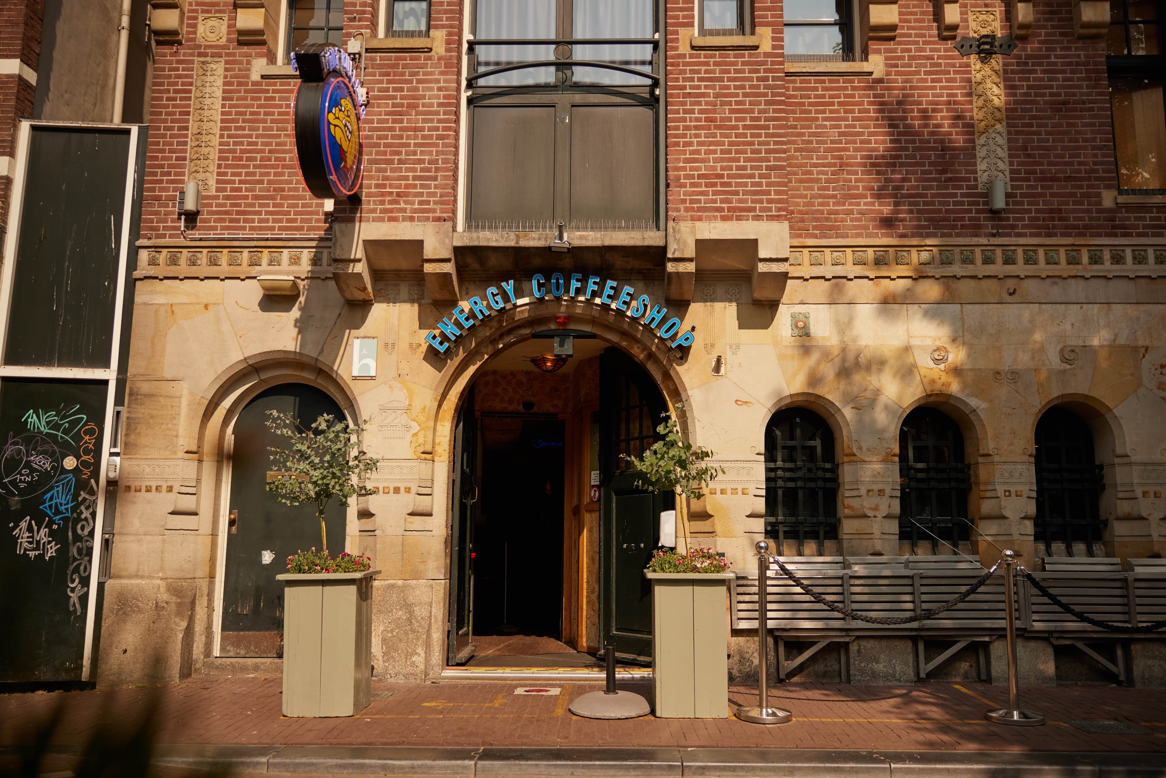 The Bulldog Energy - Foto 3