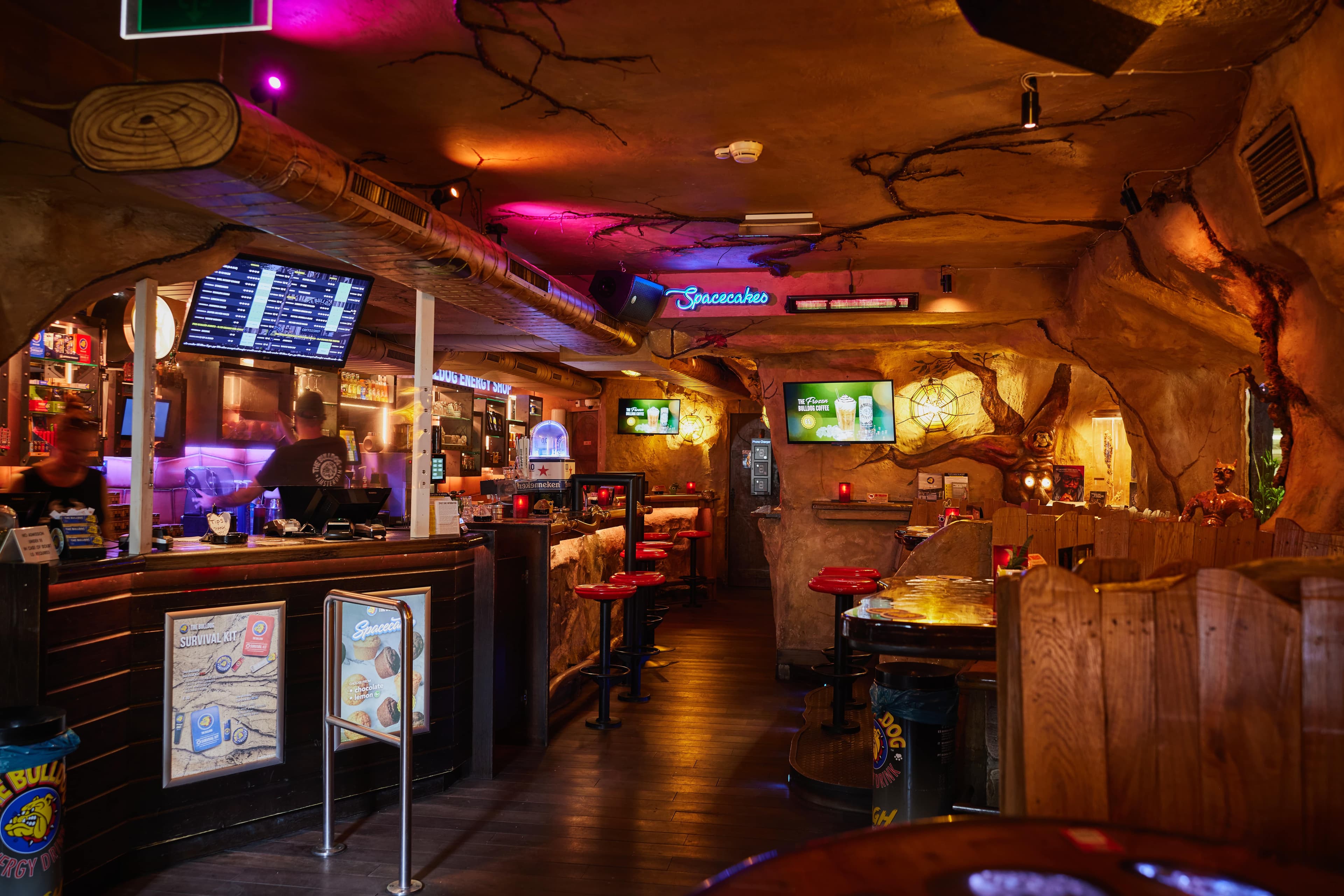 The Bulldog Energy - Foto 1