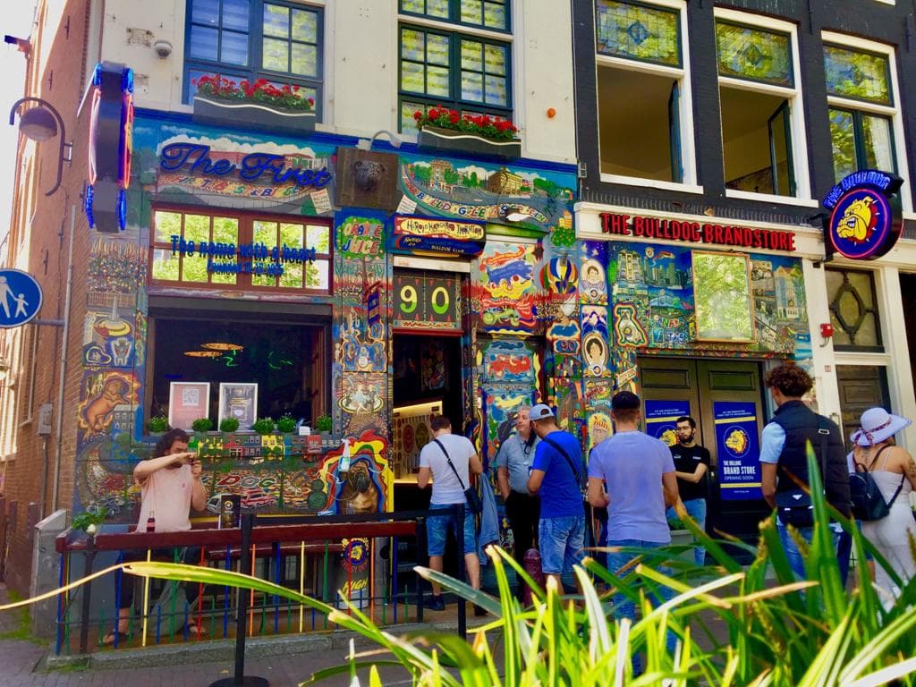 The Bulldog The First