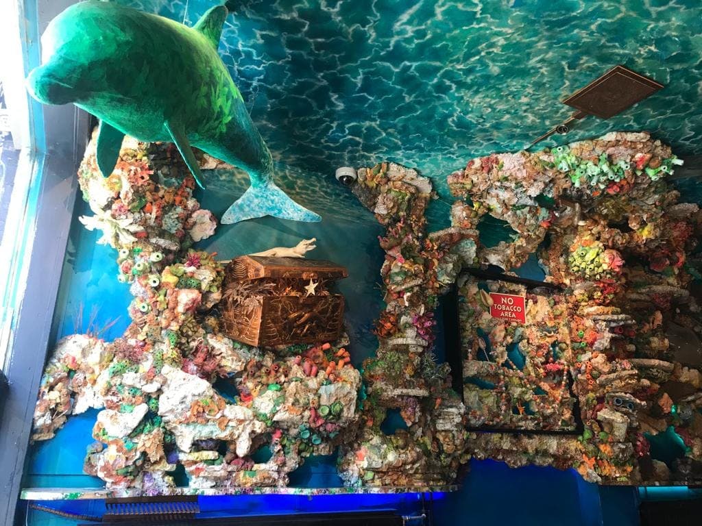 The Dolphins - Foto 4