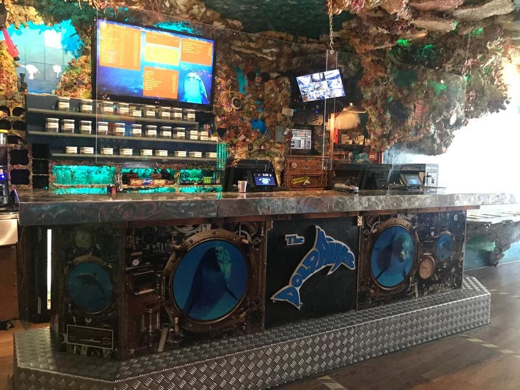 The Dolphins - Foto 1