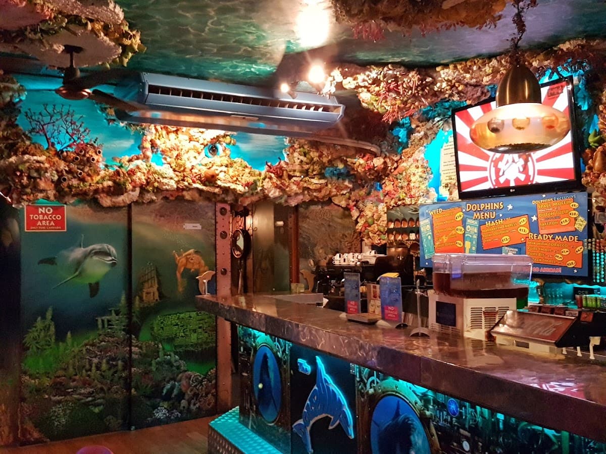 The Dolphins - Foto 4