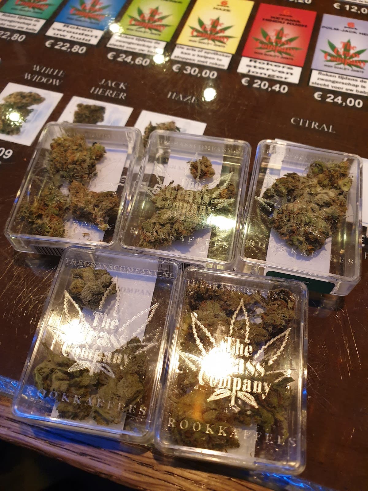 The Grass Company Piusstraat - Foto 3